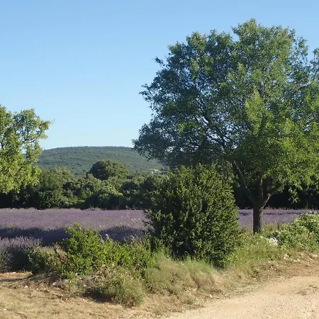 Le Rocher De Sampzon