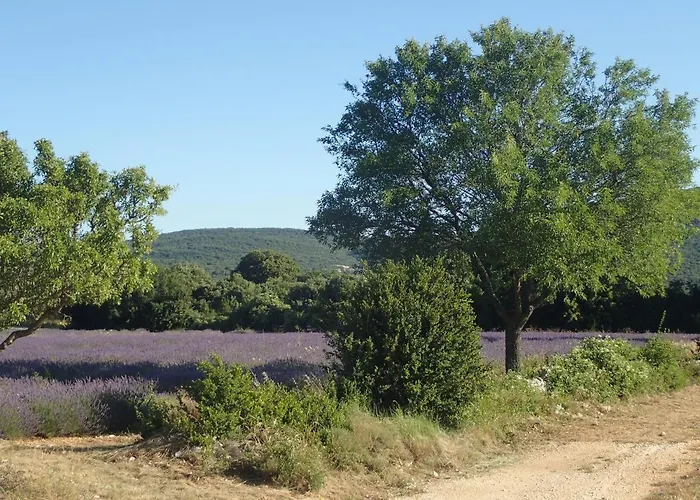 Le Rocher De Sampzon