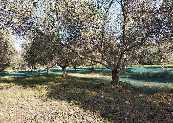 Le Rocher De 3* Sampzon