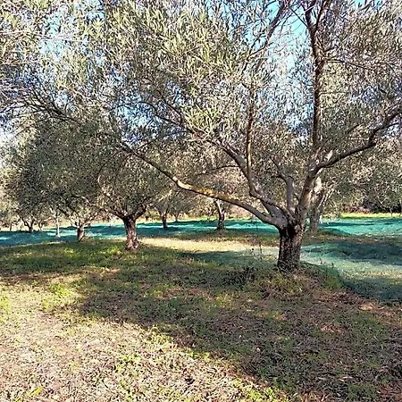 Le Rocher De Couette-café Sampzon